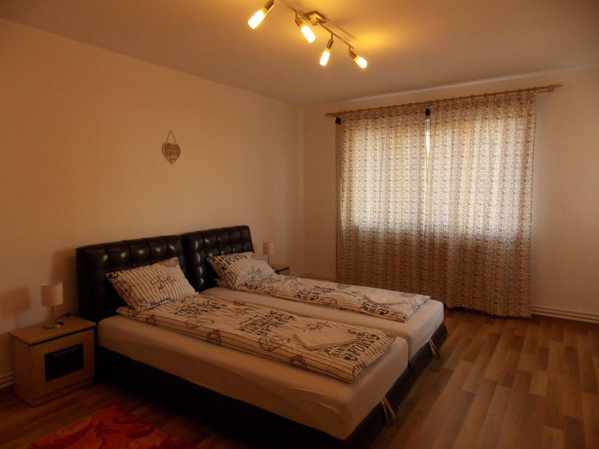Morningstar Apartment Sfantu Gheorghe  Exterior photo